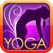 All-in YOGA: 300 Poses & Yoga Classes